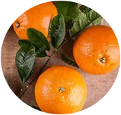 oranges amères